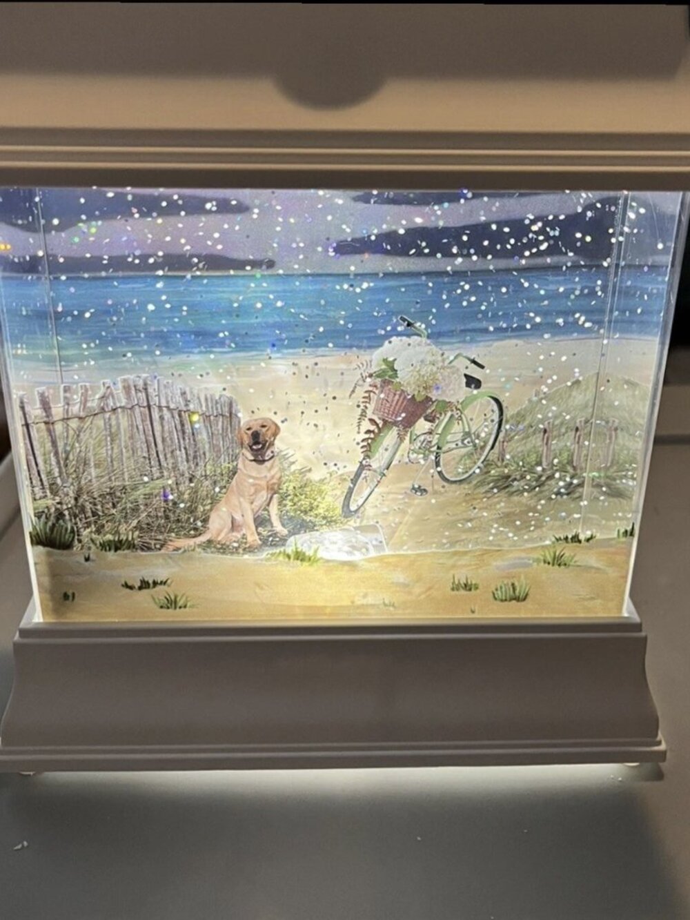 Cracker Barrel Labrador Retriever Bike Beach Water Glitter Snow Globe 8.5” New!